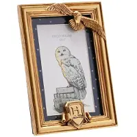 Widdop & Co. Decoratieve Artikelen - Hedwig - voor Geen - goudkleurig - Maat Standard