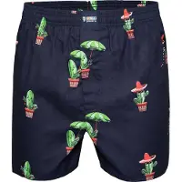 Happy Shorts X heren wijde boxershort met binnenbroek cactus print
