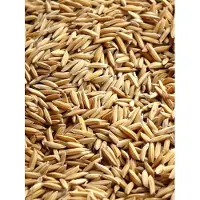 Bird-X Paddy Rijst Vogelvoer - 4 kg