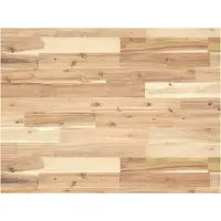 vidaXL Bureaublad 100x60x4 cm onbehandeld massief acaciahout