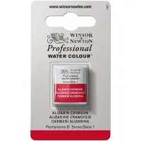 Winsor & Newton Professionele Waterverf Half Pan Payne's Gray