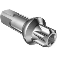 Dt Swiss Aluminum Squorx Pro Head 2.0/fg 2.3 Nippels 100 Eenheden
