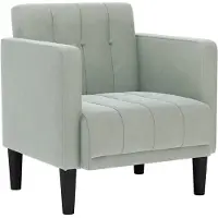 vidaXL Fauteuil met armleuningen Lichtgrijs 53 cm Fluweel