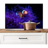 KitchenYeah Spatscherm keuken 80x55 cm - Kookplaat achterwand Koraal - Vis - Oranje - Zee - Muurbeschermer - Spatwand fornuis - Hoogwaardig aluminium