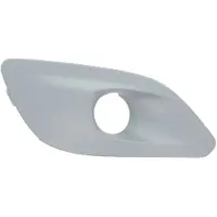 BLIC 6502-07-5519918P Ventilatiegrille, bumper
