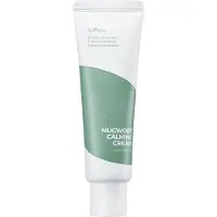 Isntree Kalmerende Gezichtscrème Met Bijvoet 50ml