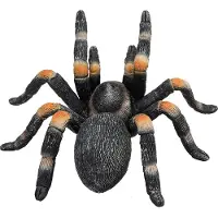 MOJO wildlife rode tarantula 387213
