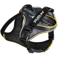 JULIUS K-9 IDC Langpad - zwart-grijs XS (XS, Hond, Hondensport), Kraag + Leiband