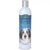 Bio Groom Groom n Fresh Shampoo