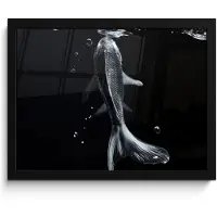 PosterMonkey Poster in lijst - Fotolijst 40x30 cm - Posters - Koi - Vissen - Water - Zwart - Posterlijst zwart - Decoratie - Wanddecoratie woonkamer - Muurdecoratie slaapkamer