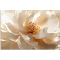 PosterMonkey Poster 90x60 cm - Close up - Pioenroos - Wit - Posters - Kamer decoratie - Wanddecoratie woonkamer - Muurdecoratie slaapkamer