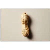 PosterMonkey Poster 90x60 cm - Pinda - Ruw - Beige - Posters - Wanddecoratie keuken - Muurdecoratie woonkamer - Decoratieve accessoires - Kamer muur decoratie