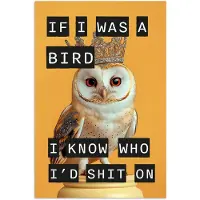 PosterMonkey Poster 60x90 cm - Geel - Uil - Vogel - Decoratie - Posters - Kamer decoratie - Wanddecoratie woonkamer - Muurdecoratie slaapkamer