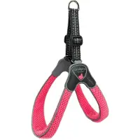 Coralpina Harness Cinquetorri Fl Rz Mt 3 C100Pf030
