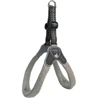 Coralpina Harness Cinquetorri L. Gr Mt 1 C100Lg010