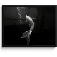 PosterMonkey Poster in lijst - Fotolijst 80x60 cm - Posters - Koi - Vis - Wit - Zwart - Posterlijst zwart - Decoratie - Wanddecoratie woonkamer - Muurdecoratie slaapkamer