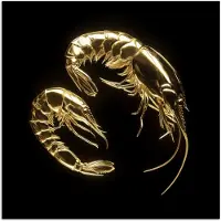 PosterMonkey Poster 100x100 cm - Garnalen - Zwart - Goud - Dieren - Posters - Wanddecoratie keuken - Muurdecoratie woonkamer - Decoratieve accessoires - Kamer muur decoratie