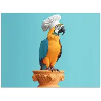 PosterMonkey Poster 40x30 cm - Papegaai - Koksmuts - Grappig - Vogel - Posters - Wanddecoratie keuken - Muurdecoratie woonkamer - Decoratieve accessoires - Kamer muur decoratie