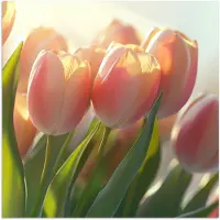 PosterMonkey Poster 30x30 cm - Tulpen - Roze - Zonnestralen - Posters - Kamer decoratie - Wanddecoratie woonkamer - Muurdecoratie slaapkamer