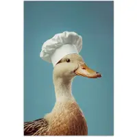 PosterMonkey Poster 80x120 cm - Eend - Koksmuts - Cute - Vogel - Posters - Wanddecoratie keuken - Muurdecoratie woonkamer - Decoratieve accessoires - Kamer muur decoratie