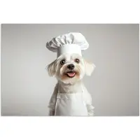 PosterMonkey Poster 30x20 cm - Hond - Wit - Kok - Posters - Kamer decoratie - Wanddecoratie woonkamer - Muurdecoratie slaapkamer