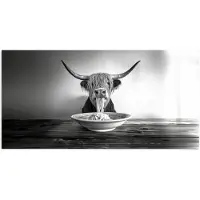 PosterMonkey Poster 120x60 cm - Schotse Hooglander - Spaghetti - Dieren - Zwart wit - Posters - Kamer decoratie - Wanddecoratie woonkamer - Muurdecoratie slaapkamer