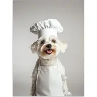 PosterMonkey Poster 90x120 cm - Hond - Wit - Kok - Posters - Kamer decoratie - Wanddecoratie woonkamer - Muurdecoratie slaapkamer