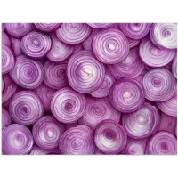 PosterMonkey Poster 160x120 cm - Paars - Uien - Close up - Posters - Kamer decoratie - Wanddecoratie woonkamer - Muurdecoratie slaapkamer XXL