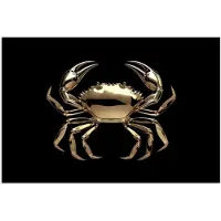PosterMonkey Poster 180x120 cm - Goud - Krab - Dieren - Zwart - Posters - Kamer decoratie - Wanddecoratie woonkamer - Muurdecoratie slaapkamer XXL