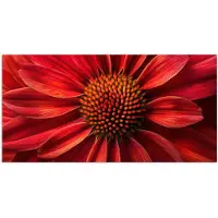 PosterMonkey Poster 160x80 cm - Close up - Bloem- Rood - Posters - Kamer decoratie - Wanddecoratie woonkamer - Muurdecoratie slaapkamer