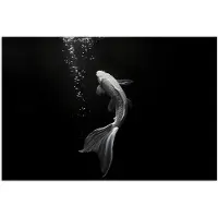 PosterMonkey Poster 30x20 cm - Koi - Vis - Wit - Zwart - Posters - Kamer decoratie - Wanddecoratie woonkamer - Muurdecoratie slaapkamer