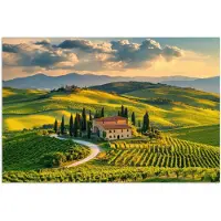 PosterMonkey Poster 120x80 cm - Toscane - Landschap - Wijngaarden - Posters - Kamer decoratie - Wanddecoratie woonkamer - Muurdecoratie slaapkamer
