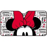 MICKEY AND FRIENDS 10255 Voorruitafdekking