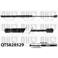 Quinton Hazell QTS828529 Gasveer achterklep