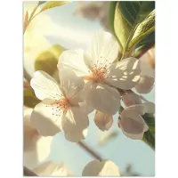 PosterMonkey Poster 30x40 cm - Bloesems - Wit - Zonnestralen - Bloemblaadjes - Posters - Kamer decoratie - Wanddecoratie woonkamer - Muurdecoratie slaapkamer