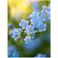 PosterMonkey Poster 60x80 cm - Bloemetjes - Blauw - Vergeet mij nietjes - Posters - Kamer decoratie - Wanddecoratie woonkamer - Muurdecoratie slaapkamer