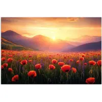 PosterMonkey Poster 120x80 cm - Landschap - Zonsondergang - Bloemenveld - Posters - Kamer decoratie - Wanddecoratie woonkamer - Muurdecoratie slaapkamer