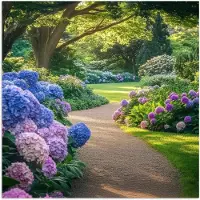 PosterMonkey Poster 75x75 cm - Hortensia- Park - Pad - Posters - Kamer decoratie - Wanddecoratie woonkamer - Muurdecoratie slaapkamer