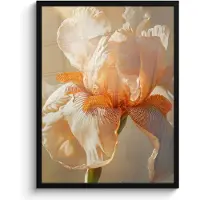 PosterMonkey Poster in lijst - Fotolijst 60x80 cm - Posters - Close up - Oranje - Iris - Posterlijst zwart - Decoratie - Wanddecoratie woonkamer - Muurdecoratie slaapkamer