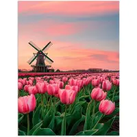 PosterMonkey Poster 30x40 cm - Tulpen - Molen - Nederland - Posters - Kamer decoratie - Wanddecoratie woonkamer - Muurdecoratie slaapkamer