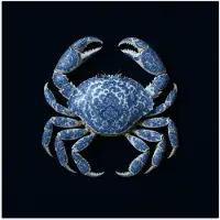 PosterMonkey Poster 50x50 cm - Krab - Delfts blauw - Dieren - Posters - Kamer decoratie - Wanddecoratie woonkamer - Muurdecoratie slaapkamer