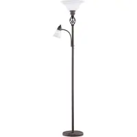 TRIO Klassieke Leeslamp Series 6102