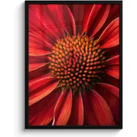 PosterMonkey Poster in lijst - Fotolijst 60x80 cm - Posters - Close up - Bloem- Rood - Posterlijst zwart - Decoratie - Wanddecoratie woonkamer - Muurdecoratie slaapkamer