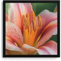 PosterMonkey Poster in lijst - Fotolijst 40x40 cm - Posters - Lelie - Close up - Lichtroze - Posterlijst zwart - Decoratie - Wanddecoratie woonkamer - Muurdecoratie slaapkamer