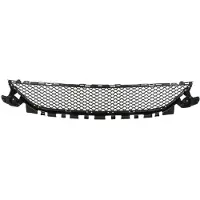 BLIC Bumper - ventilatierooster 6502-07-3521910PP