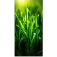 PosterMonkey Poster 75x150 cm - Grassprieten - Lichtinval - Groen - Posters - Kamer decoratie - Wanddecoratie woonkamer - Muurdecoratie slaapkamer