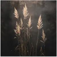 PosterMonkey Poster 100x100 cm - Siergras - Pluimen - Verlichting - Zwart - Posters - Kamer decoratie - Wanddecoratie woonkamer - Muurdecoratie slaapkamer XXL