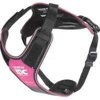 JULIUS K-9 K9 IDC Langpad - roze-grå, XL (XL, Hond, Hondensport), Kraag + Leiband