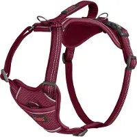 The company of animals Anatomy Harness