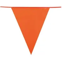Boland Vlaggenlijn oranje mini 10m doos a 24st oranje Kunststof Slinger